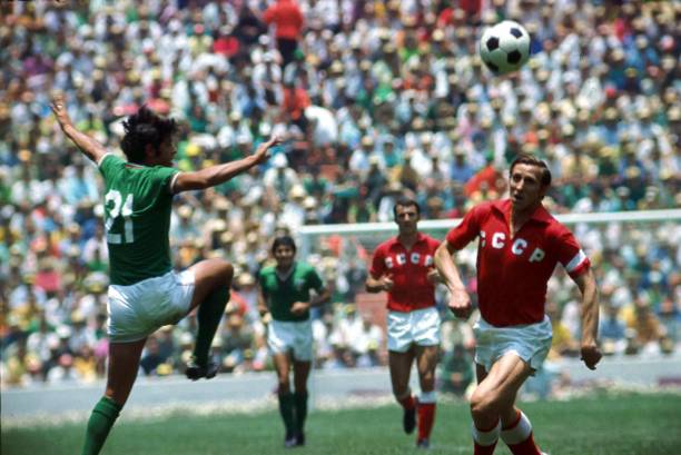 国队的整体 国队的整体